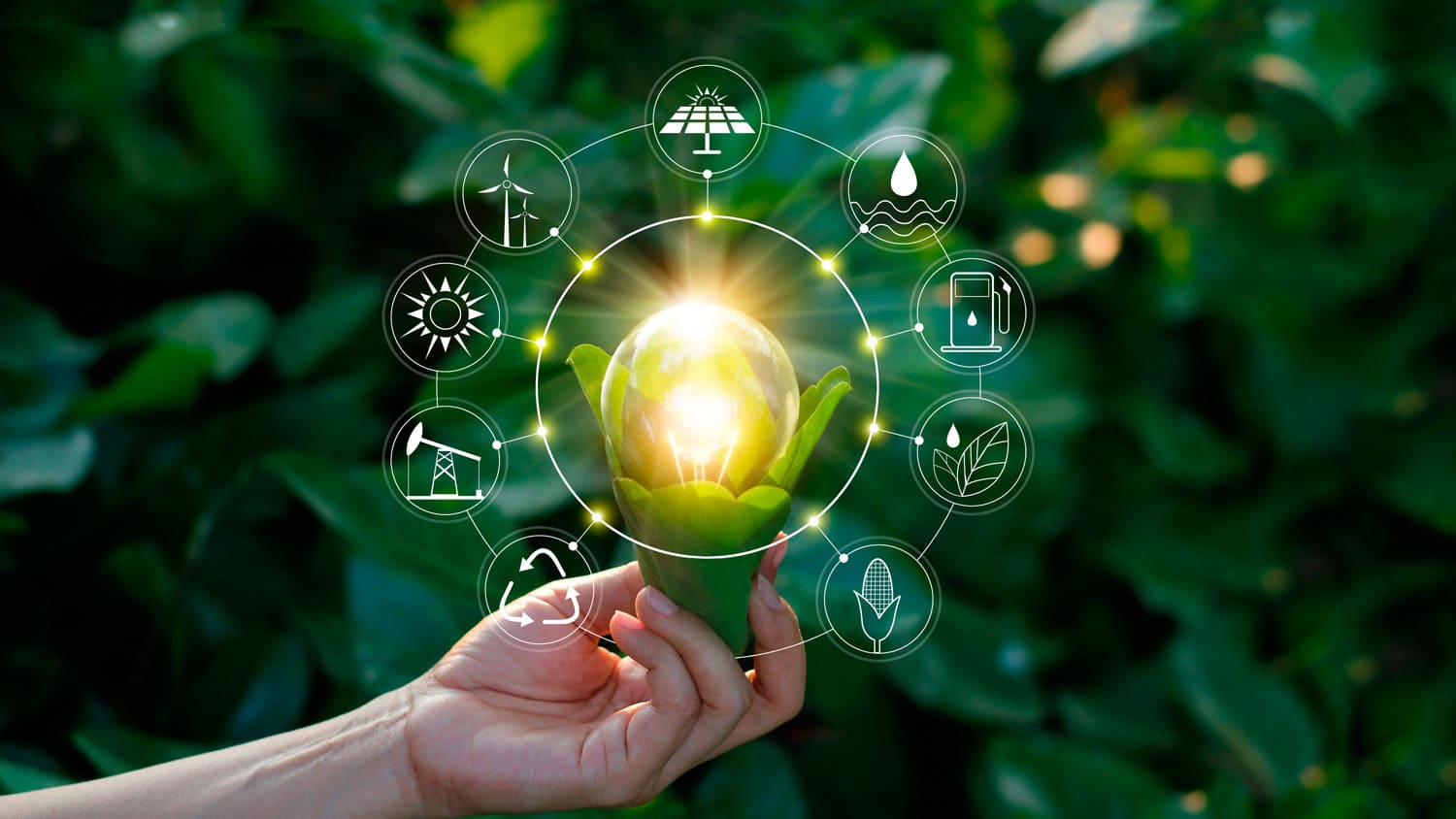 Manos sosteniendo una ampolleta iluminada con base de plantas. A su alrededor hay iconos de elementos que se relacionan a la sostenibilidad como energía mediante recursos naturales.